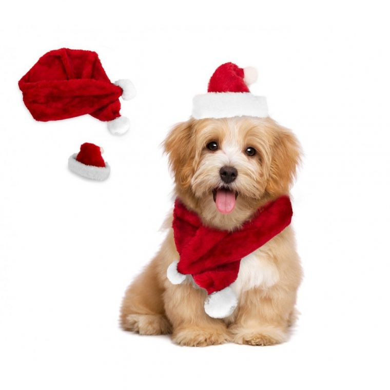 064227 Set Bonnet Et Écharpe Père Noël Pour Chiens De Petite Taille pour Chien Noel