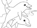 10 Élégant De Coloriage Des Animaux Images  Dolphin Coloring Pages dedans Coloriage De Dauphins