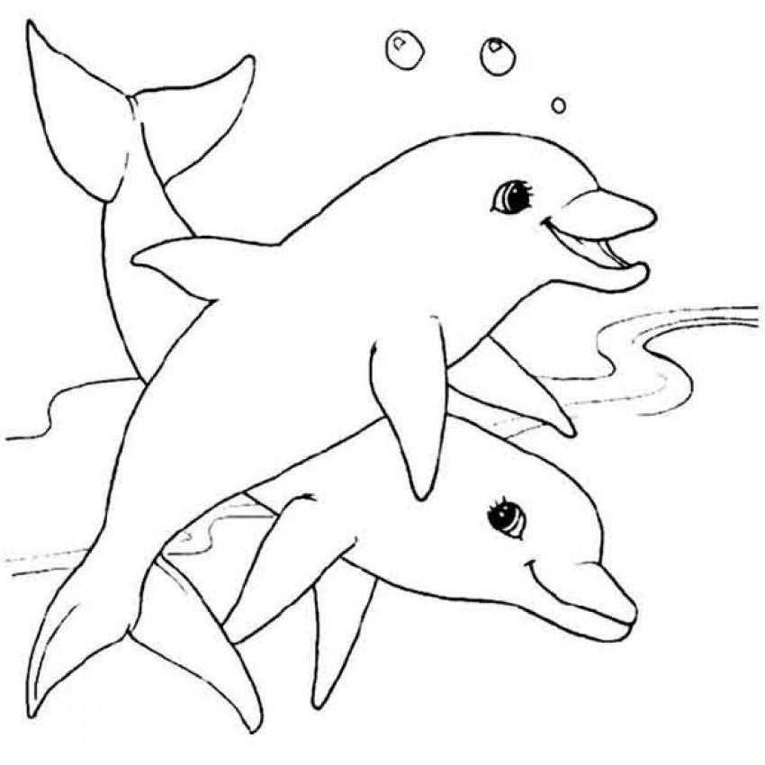 10 Élégant De Coloriage Des Animaux Images  Dolphin Coloring Pages dedans Coloriage De Dauphins