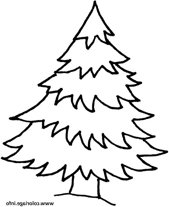 10 Inspirant De Sapin Dessin Image  Christmas Tree Coloring Page, Tree destiné Dessins Sapins 