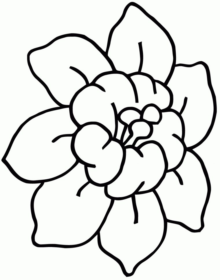 100 Dessins De Coloriage Fleur Facile À Imprimer serapportantà Fleur À Imprimer