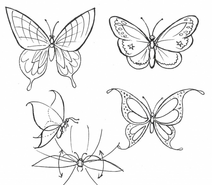 1001 + Idées De Dessin De Papillon Pour S'Inspirer Et Apprendre Comment à Dessin De Papillon