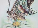1001 + Idées De Dessin De Papillon Pour S'Inspirer Et Apprendre Comment encequiconcerne Dessin Papillon