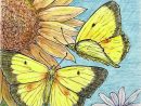 1001 + Idées De Dessin De Papillon Pour S'Inspirer Et Apprendre Comment intérieur Dessin Papillon