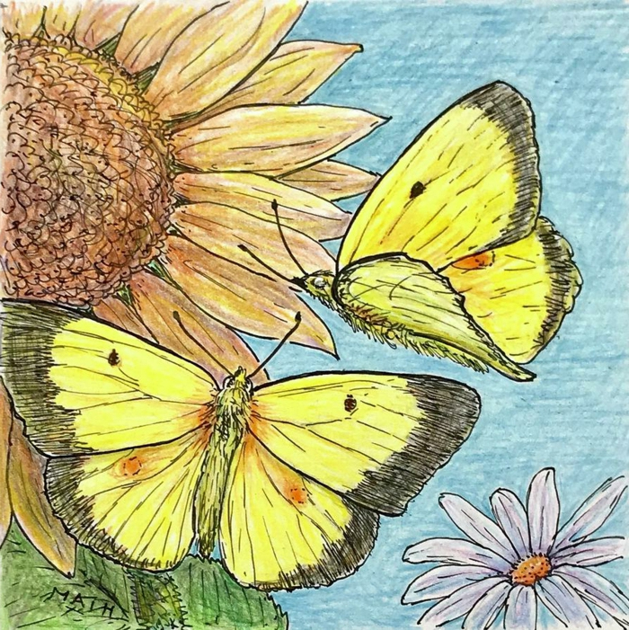 1001 + Idées De Dessin De Papillon Pour S'Inspirer Et Apprendre Comment intérieur Dessin Papillon