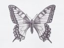 1001 + Idées De Dessin De Papillon Pour S'Inspirer Et Apprendre Comment pour Dessin Papillon Facile