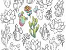 1001 + Pages De Coloriage Anti-Stress Pour Garder L'Esprit Positif serapportantà Coloriage Cactus