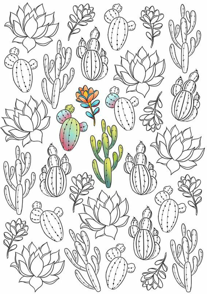 1001 + Pages De Coloriage Anti-Stress Pour Garder L&amp;#039;Esprit Positif serapportantà Coloriage Cactus 