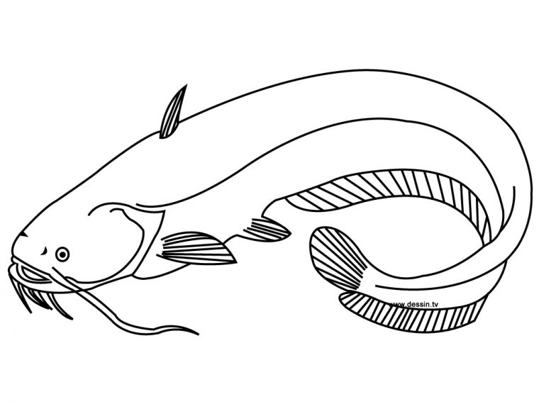 106 Dessins De Coloriage Poisson À Imprimer Sur Laguerche – Page 4 serapportantà Dessin De Poissons