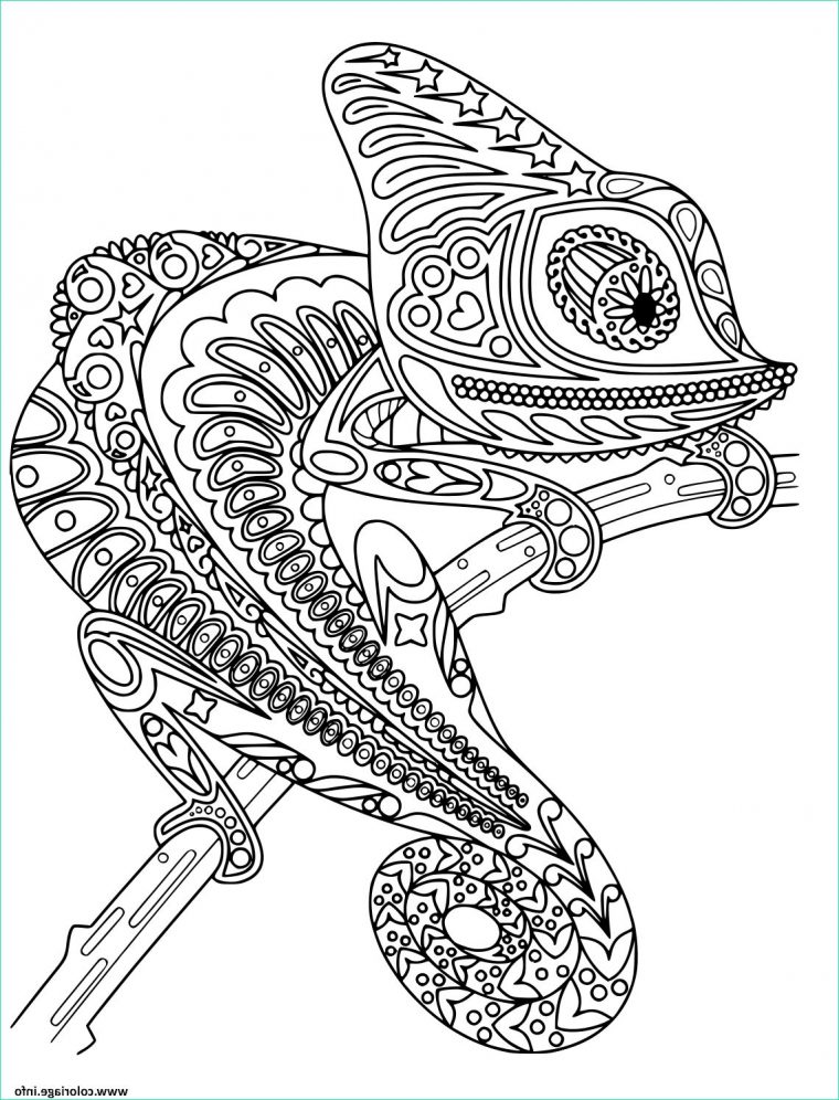 11 Inspirant De Mandala Cameleon Collection – Coloriage : Coloriage avec Coloriage Cameleon