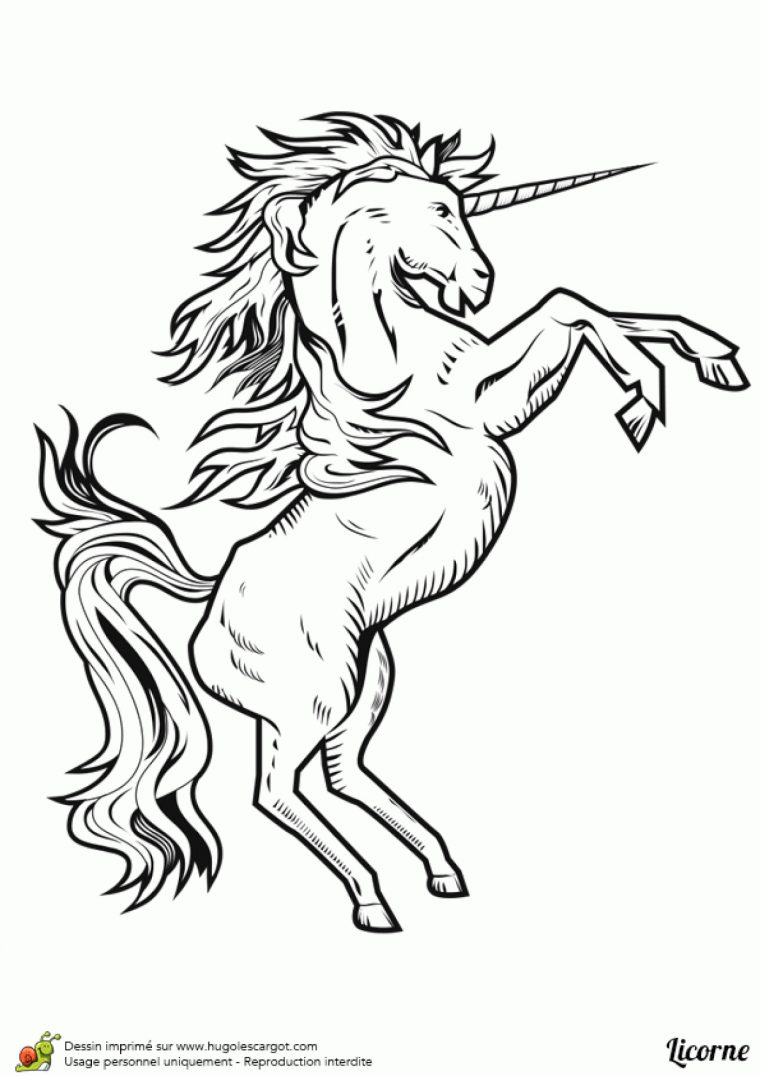 11+ Licorne Dessin Facile À Reproduire Hd – Dessin Facile pour Coloriage Licorne