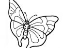 110 Dessins De Coloriage Papillon À Imprimer Sur Laguerche - Page 1 à Coloriage De Papillon À Imprimer