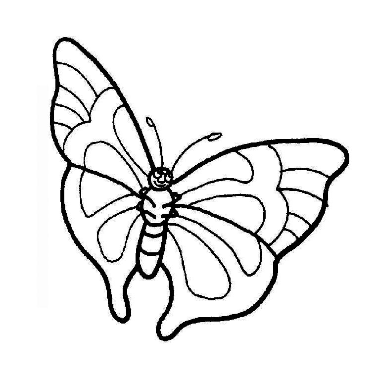 110 Dessins De Coloriage Papillon À Imprimer Sur Laguerche - Page 1 à Coloriage De Papillon À Imprimer 