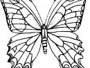 110 Dessins De Coloriage Papillon À Imprimer Sur Laguerche - Page 5 encequiconcerne Coloriage De Papillon À Imprimer