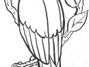 119 Dessins De Coloriage Oiseau À Imprimer Sur Laguerche - Page 8 serapportantà Oiseau À Imprimer
