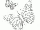 119 Dessins De Coloriage Papillon À Imprimer tout Coloriage De Papillon À Imprimer