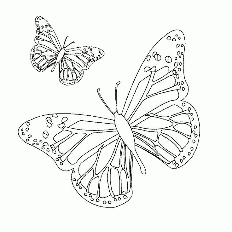 119 Dessins De Coloriage Papillon À Imprimer tout Coloriage De Papillon À Imprimer