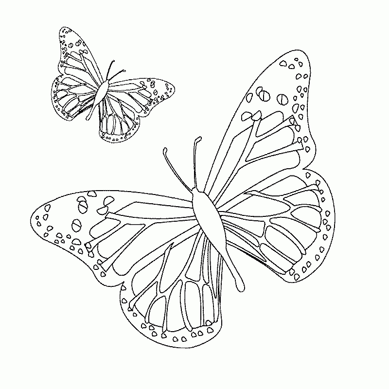 119 Dessins De Coloriage Papillon À Imprimer tout Coloriage De Papillon À Imprimer 