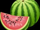 12 Impressionnant De Dessin Melon Photos - Coloriage : Coloriage pour Coloriage Melon