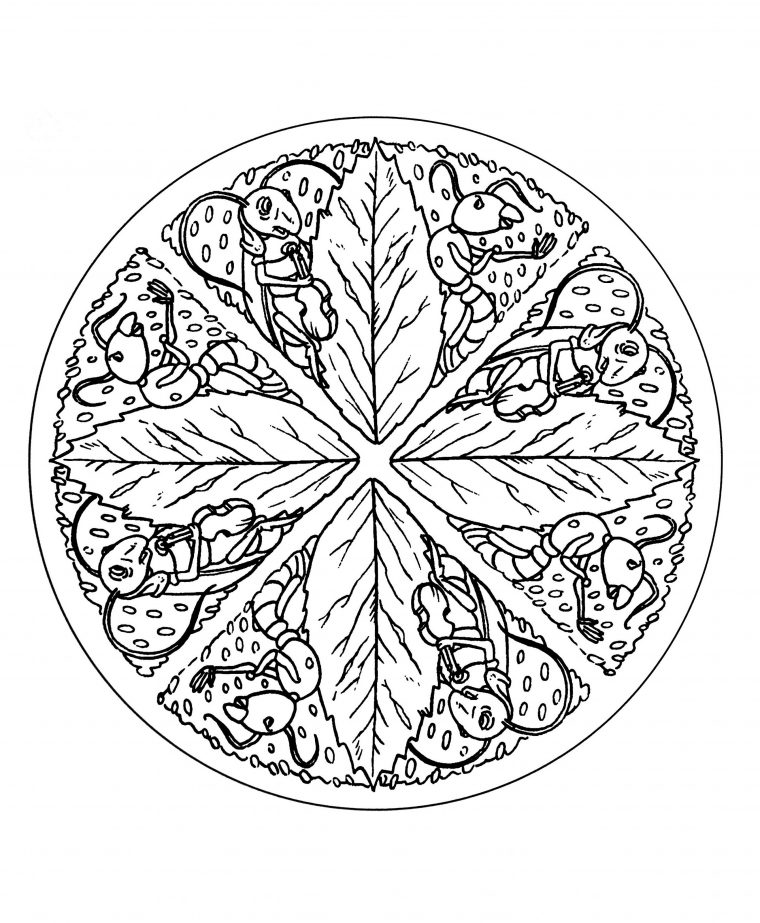 12 Nouveau De Mandala À Colorier Gratuit Photos – Coloriage : Coloriage tout Mandalas À Colorier Gratuit