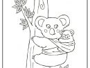 12 Original Coloriage Koala Stock - Eh Ressources, Si Les Pages À dedans Coloriage De Koala