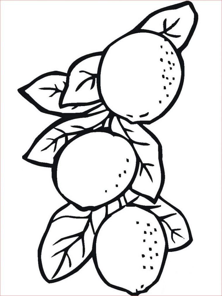 14 Merveilleux Coloriage Citron Stock – Coloriage à Citron Coloriage