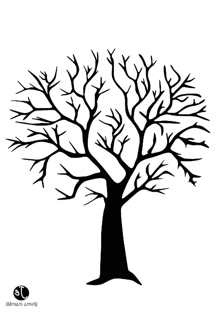 15 Nouveau De Dessin Arbre Sans Feuille Photographie  Coloriage Arbre tout Arbre Facile A Dessiner 