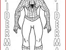 167 Dessins De Coloriage Spiderman À Imprimer Sur Laguerche - Page 7 tout Coloriage Spider Man