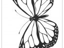 22+ Coloriage A Imprimer Papillon Gif - Malvorlagen Fur Kinder Kostenlos intérieur Coloriage Papillon
