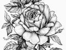 25 Idées De Dessin De Fleurs Pour S'Inspirer encequiconcerne Fleur Rose Dessin