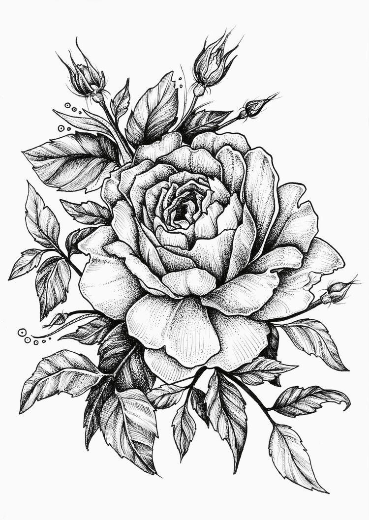 25 Idées De Dessin De Fleurs Pour S&amp;#039;Inspirer encequiconcerne Fleur Rose Dessin 