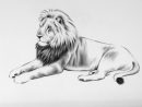 25 ++ Image De Lion Dessin 235383-Image Roi Lion Dessin avec Dessiner Un Lion Facilement
