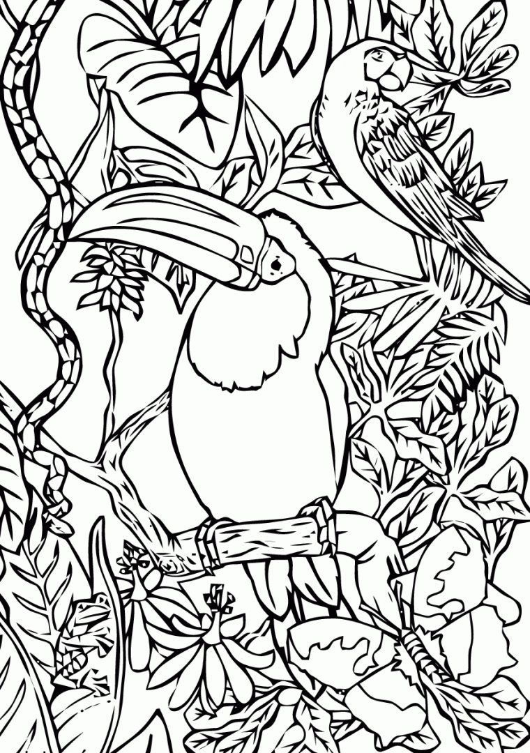 29 Dessins De Coloriage Oiseaux À Imprimer à Dessin A Imprime