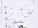 29 Tutos Dessins D'Oiseaux Étape Par Étape Pour Apprendre À Dessiner avec Dessiner Étape Par Étape
