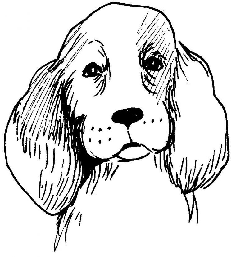 302 Dessins De Coloriage Chien À Imprimer Sur Laguerche – Page 4 destiné Coloriage De Chien Gratuit