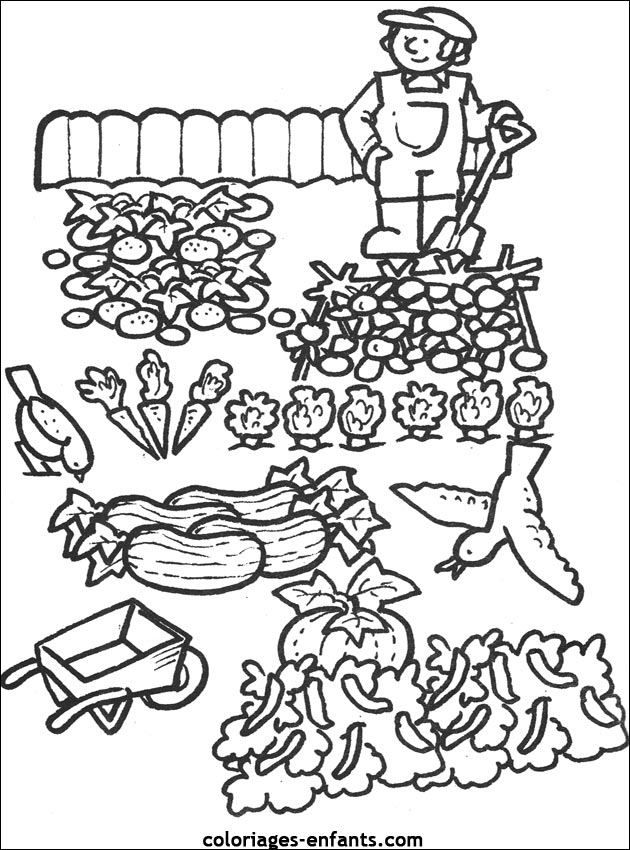 33 Dessins De Coloriage Jardin À Imprimer Sur Laguerche - Page 2 avec Coloriage Jardinage 