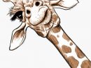 38 Idées De Cours De Dessin En 2021  Dessin, Girafe Dessin, Art De Girafe intérieur Girafe Dessin