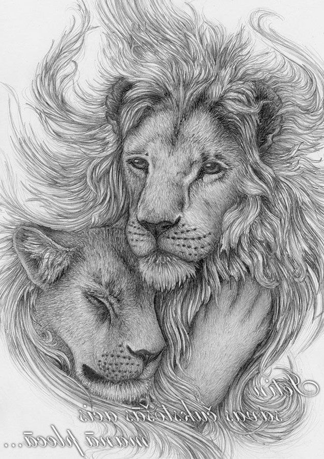 40 Unique Lion Dessin Uage  Idées Uage Animaux, Uage Lion à Dessins De Lion