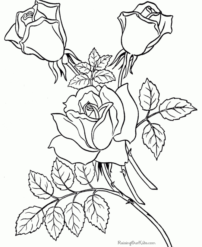 57 Dessins De Coloriage Roses À Imprimer Sur Laguerche - Page 1 tout Coloriage De Rose 