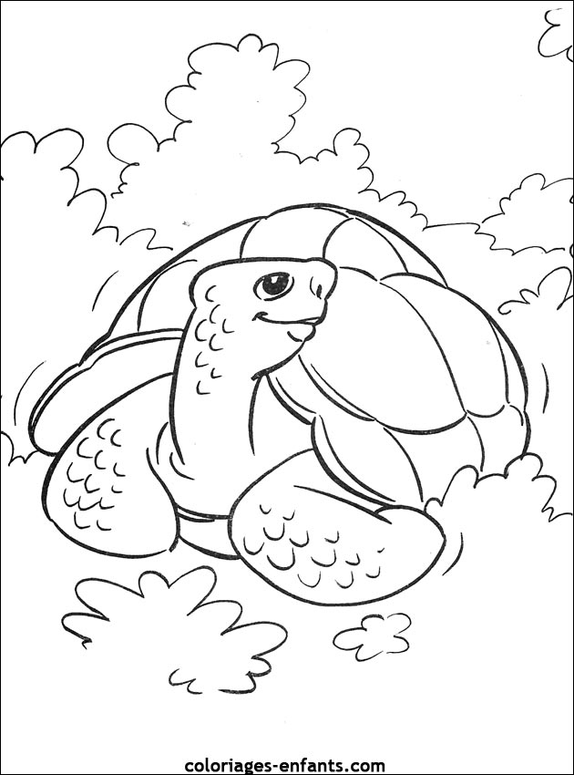 69 Dessins De Coloriage Tortue À Imprimer Sur Laguerche - Page 3 tout Tortue A Imprimer 