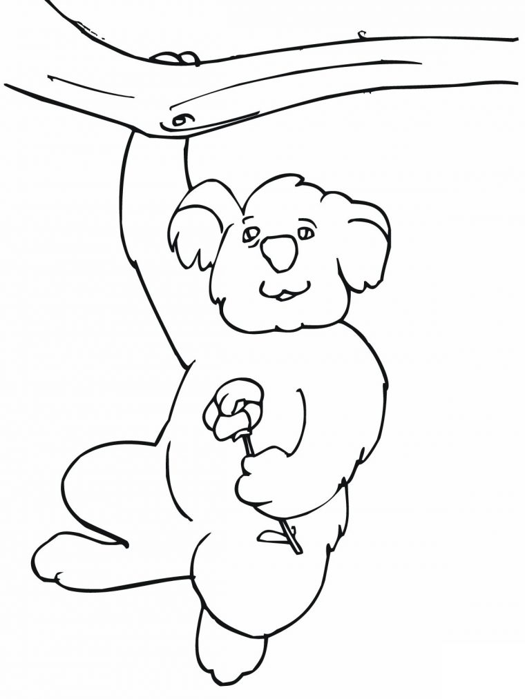 77 Dessins De Coloriage Koala À Imprimer Sur Laguerche – Page 1 à Coloriage De Koala