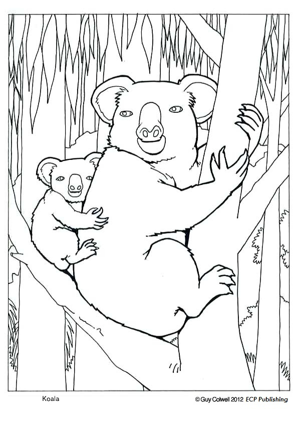 77 Dessins De Coloriage Koala À Imprimer Sur Laguerche - Page 6 concernant Coloriage De Koala 