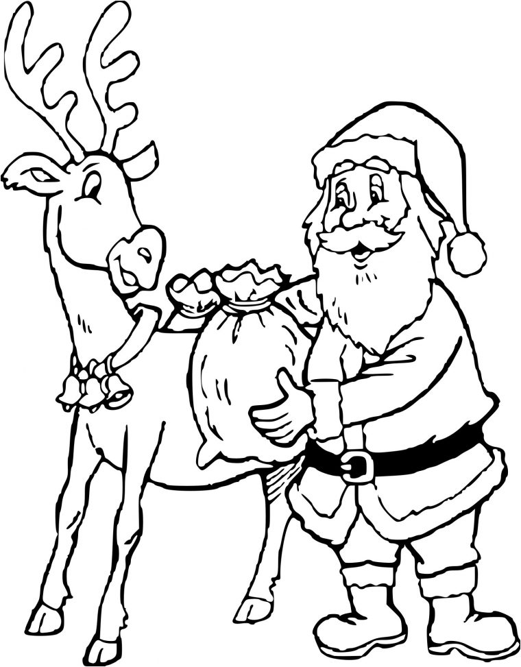 8 Biensûr Coloriage De Cerf Collection – Coloriage à Coloriage De Cerf