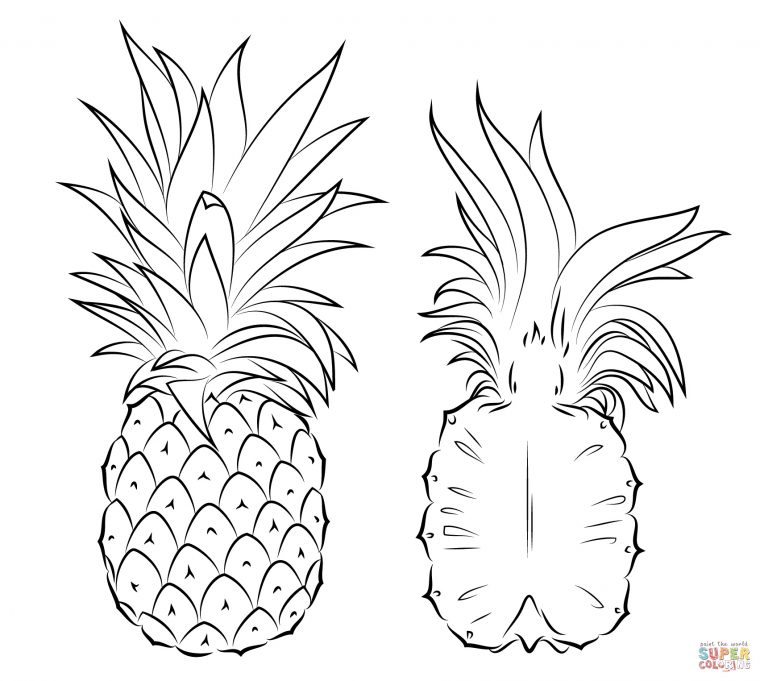 9 Extraordinaire Coloriage Ananas Photos – Coloriage pour Ananas Coloriage