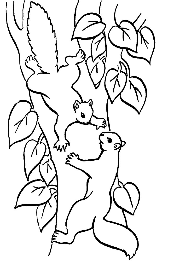 98 Dessins De Coloriage Animaux De La Foret À Imprimer à Coloriage De Foret A Imprimer 