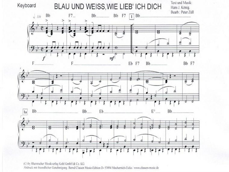 schalke lieder text