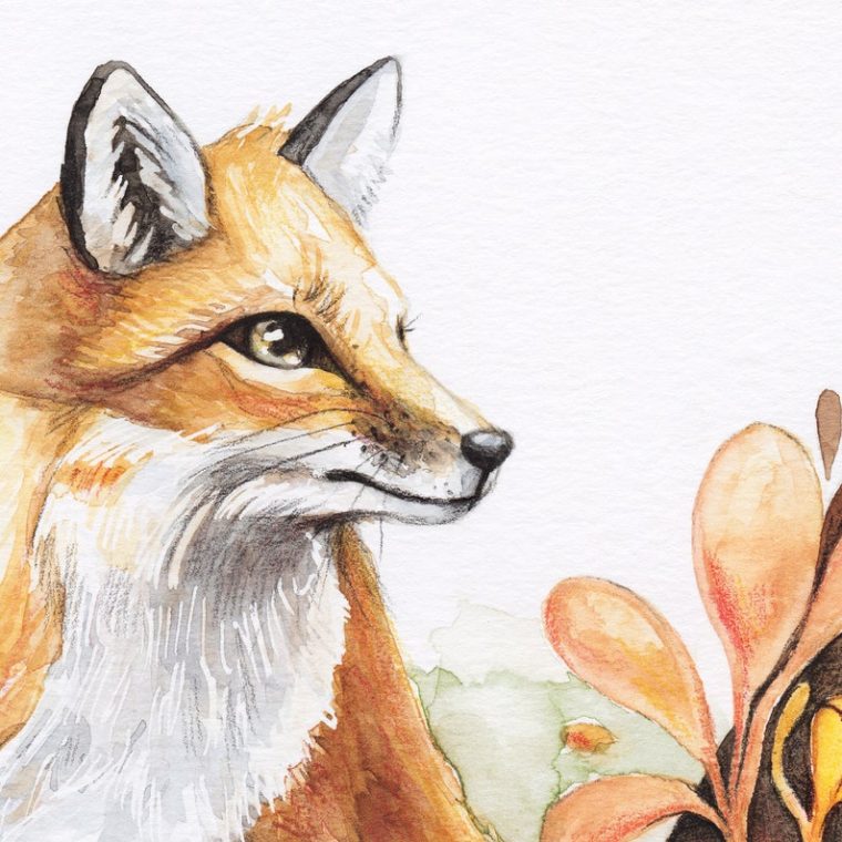 Affiche De Renard Roux  Fox Illustration  Renard Collection  Etsy serapportantà Renard Dessin