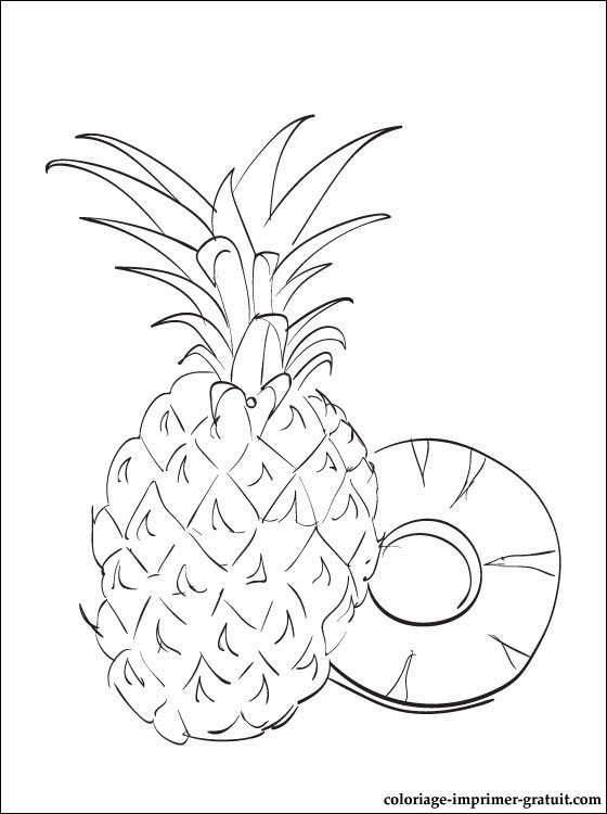 Ananas Dessin A Imprimer ― Coloriage Ananas Coloriage Dananas A Imprimer tout Ananas Coloriage