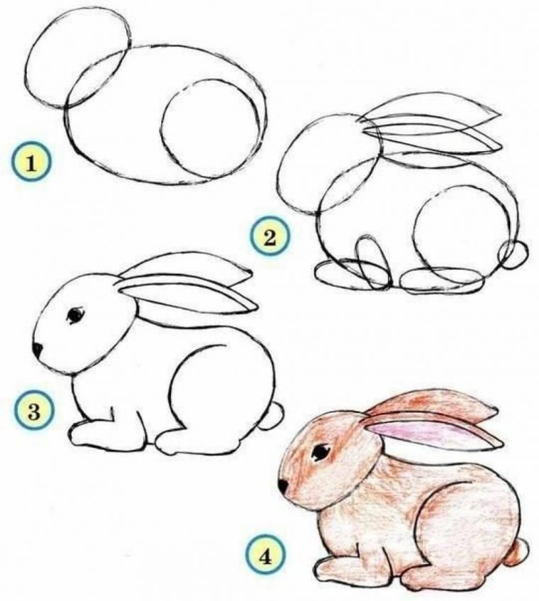 Apprendre À Dessiner Aux Enfants, Étape Par Étape! 17 Animaux Faciles À pour Apprendre Dessiner Animaux