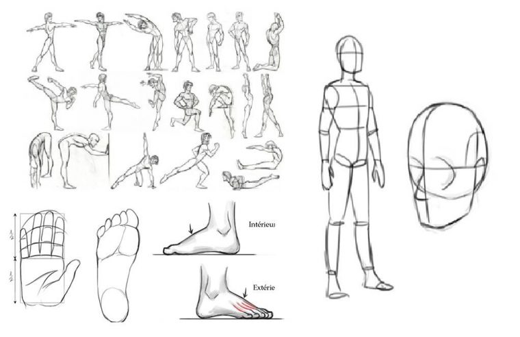 Apprendre À Dessiner Avec Tintin à Apprendre À Dessiner Des Personnages